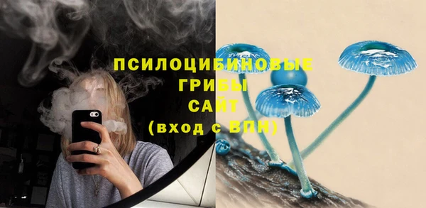 стаф Пестово
