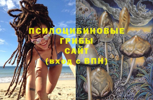 гашик Переславль-Залесский