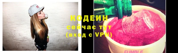 гашик Переславль-Залесский