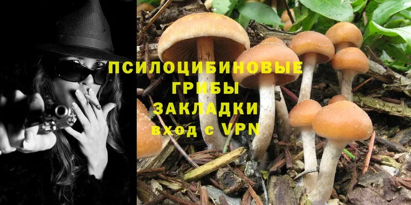 Псилоцибиновые грибы MAGIC MUSHROOMS  площадка состав  Лихославль 